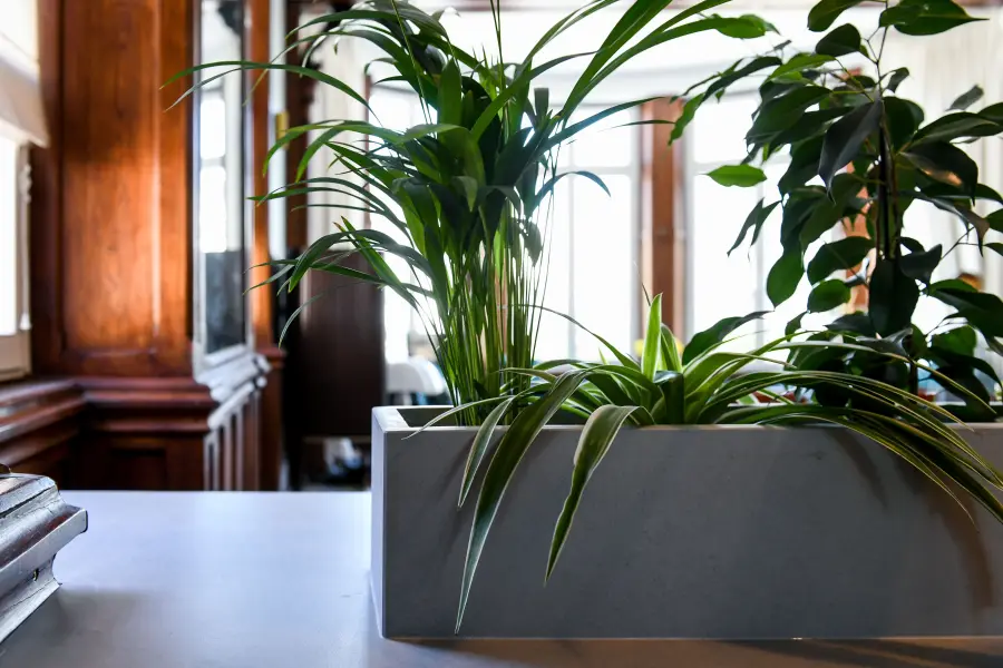 Cuisine bleu nuit, bois & laiton à Biarritz — L'atelier Contemporain × Cenza
